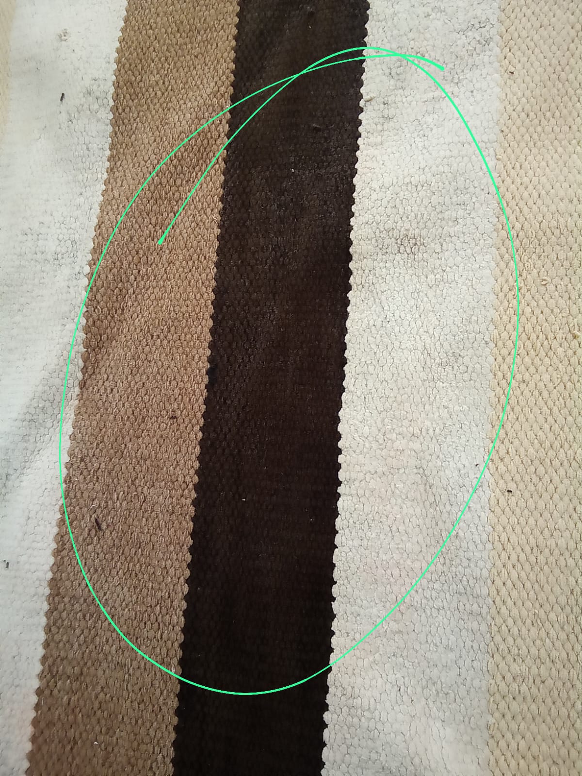 Higienização de Tapetes a Seco Imagem