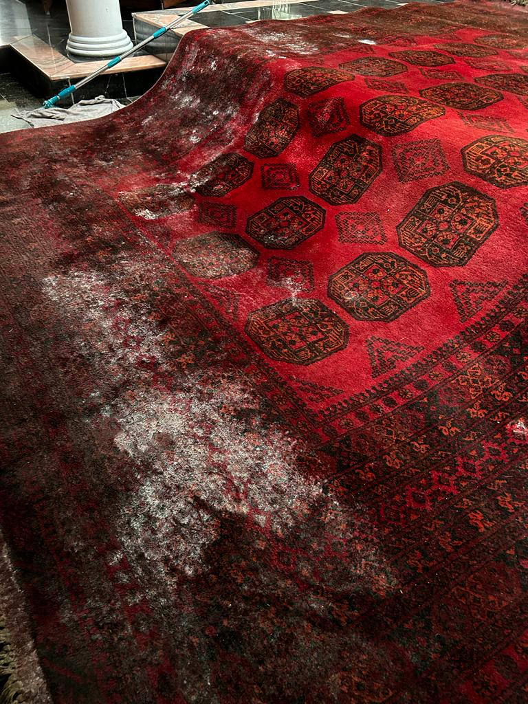 Limpeza de Tapetes a Seco Imagem